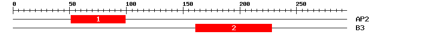 Signature Domain