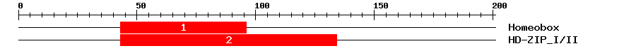 Signature Domain