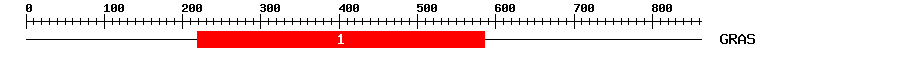 Signature Domain