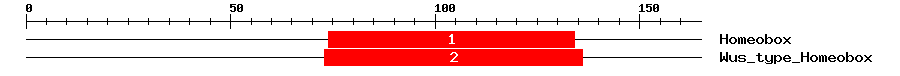 Signature Domain