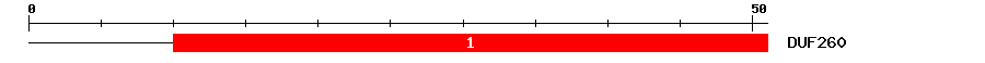 Signature Domain