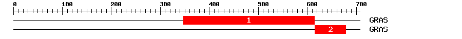 Signature Domain