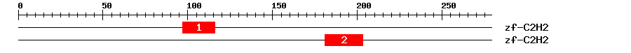 Signature Domain