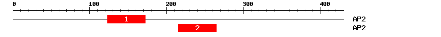 Signature Domain