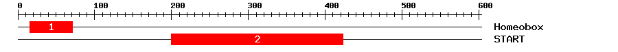 Signature Domain
