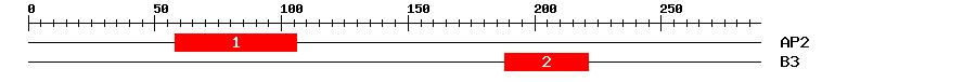 Signature Domain