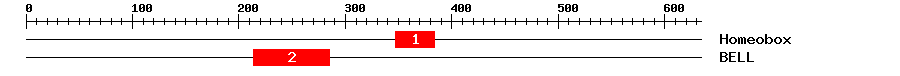 Signature Domain