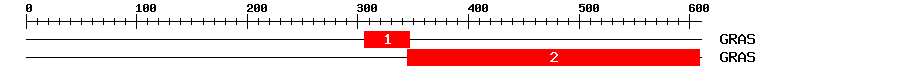 Signature Domain