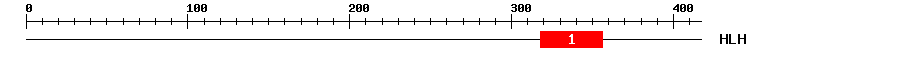 Signature Domain