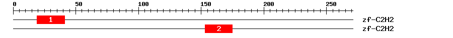 Signature Domain