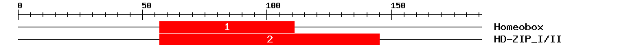 Signature Domain