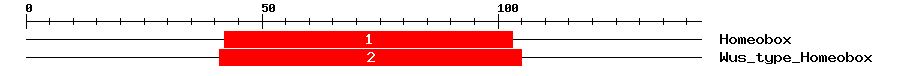 Signature Domain