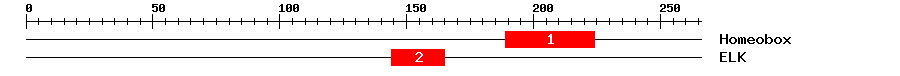 Signature Domain