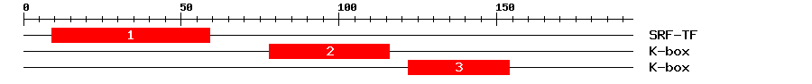 Signature Domain