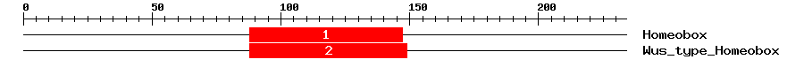 Signature Domain