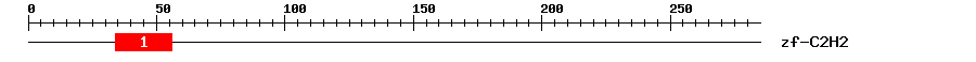 Signature Domain