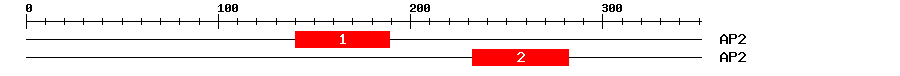 Signature Domain