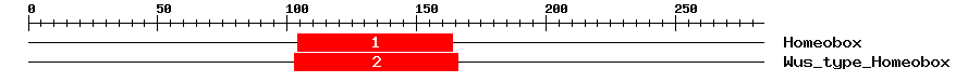 Signature Domain