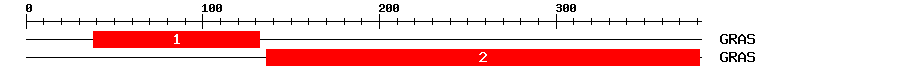 Signature Domain
