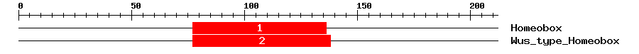 Signature Domain