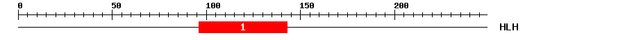 Signature Domain