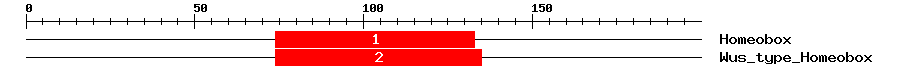 Signature Domain