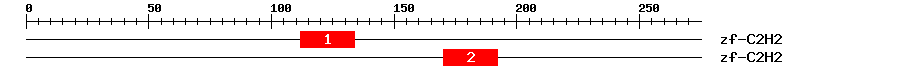 Signature Domain