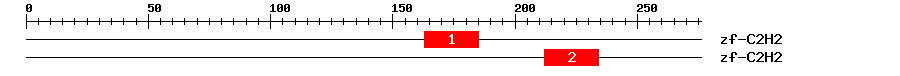 Signature Domain