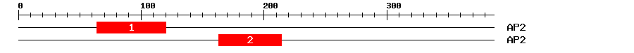 Signature Domain