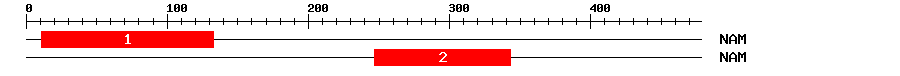 Signature Domain