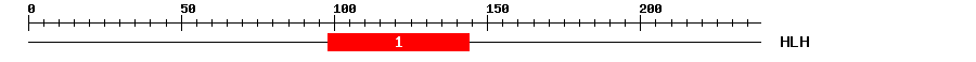 Signature Domain