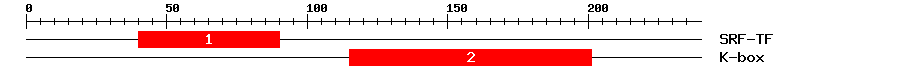 Signature Domain