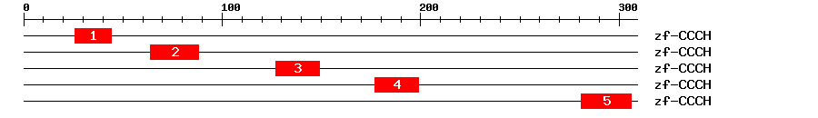 Signature Domain