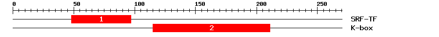 Signature Domain