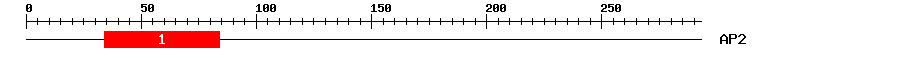 Signature Domain