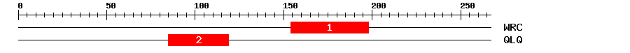Signature Domain