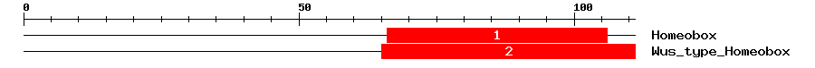 Signature Domain