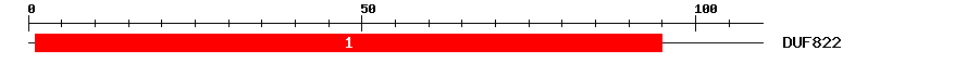 Signature Domain