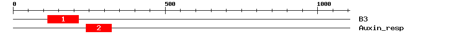 Signature Domain