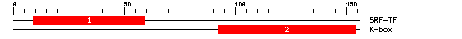 Signature Domain