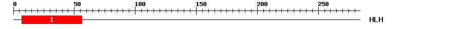 Signature Domain