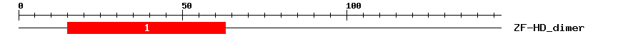 Signature Domain