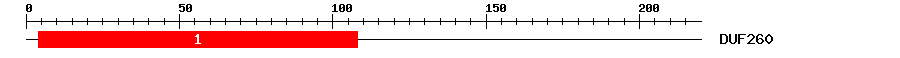 Signature Domain