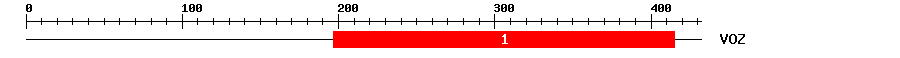 Signature Domain