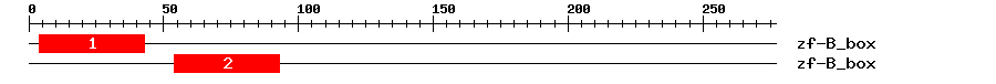 Signature Domain