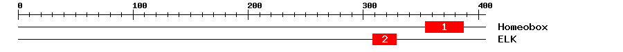 Signature Domain