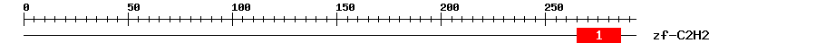 Signature Domain