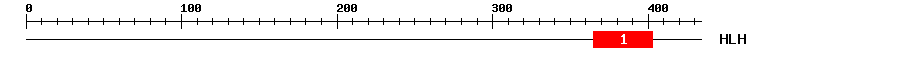 Signature Domain