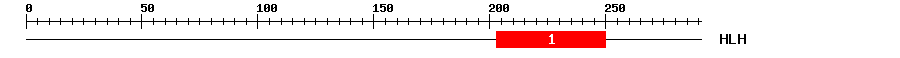 Signature Domain