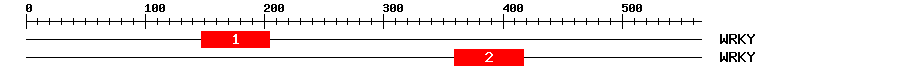 Signature Domain
